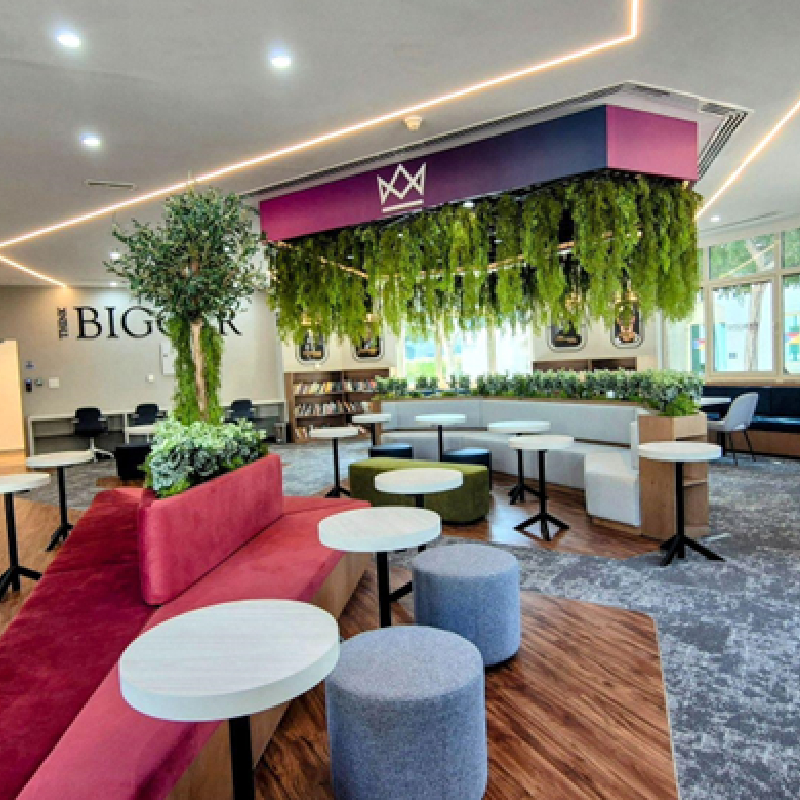 RIME Aligns Learning 2